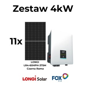 LONGI LR4-60HPH-375M Black Frame (1) (1)