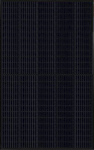 risen-400.png